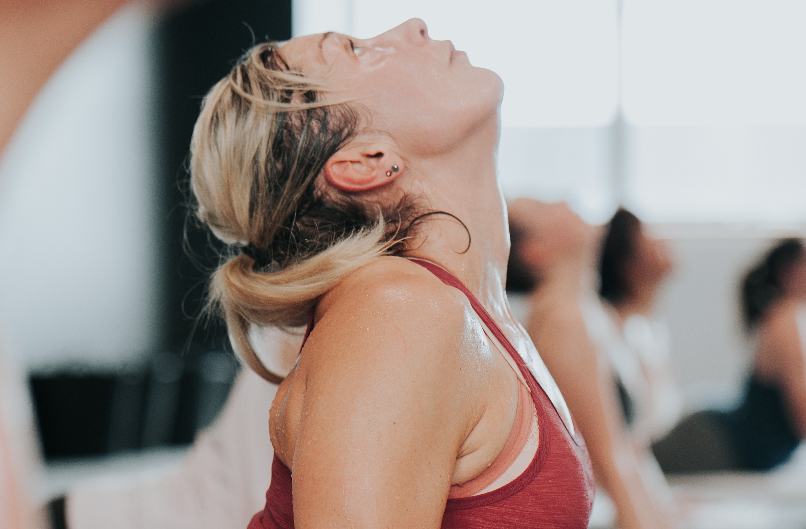 A Fresh, New Chapter has Begun!